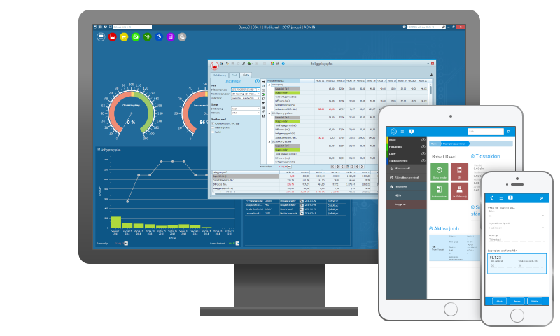 Monitor ERP system